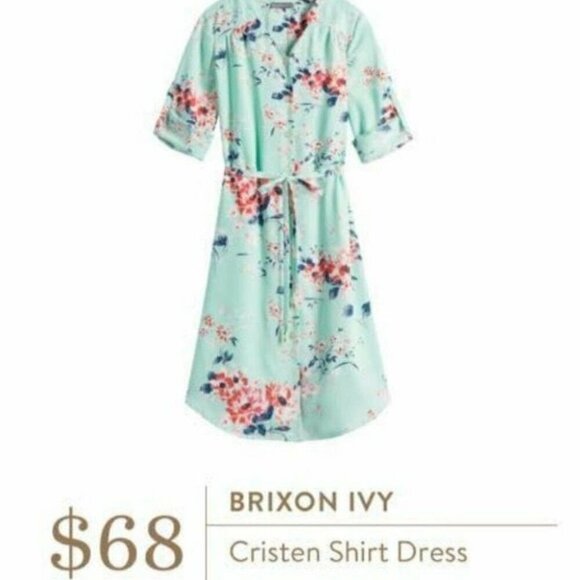 Flowers Dresses & Skirts - Brixon Ivy Cristen Floral Shirt Dress Size M